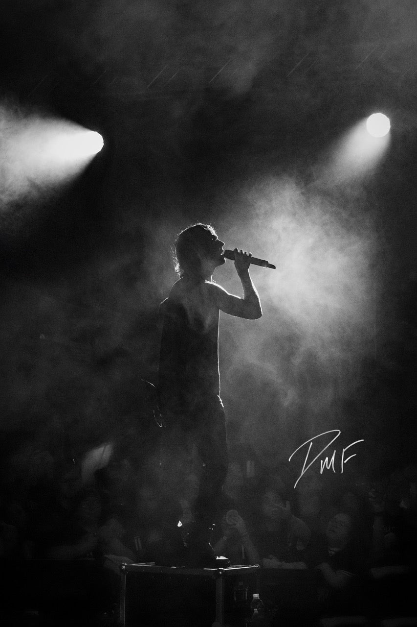 DMF Live Print No. 04 | Signed Concert Print - 1 of 5