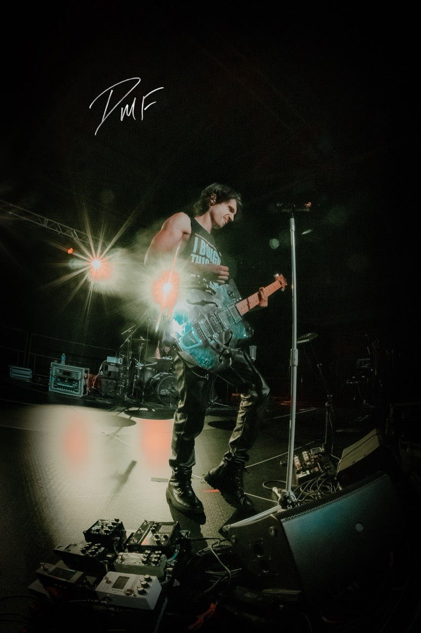 DMF Live Print No. 08 | Signed Concert Print - 1 of 5
