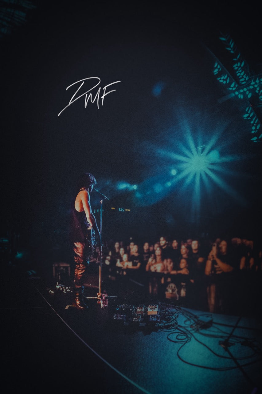 DMF Live Print No. 09 | Signed Concert Print - 1 of 5